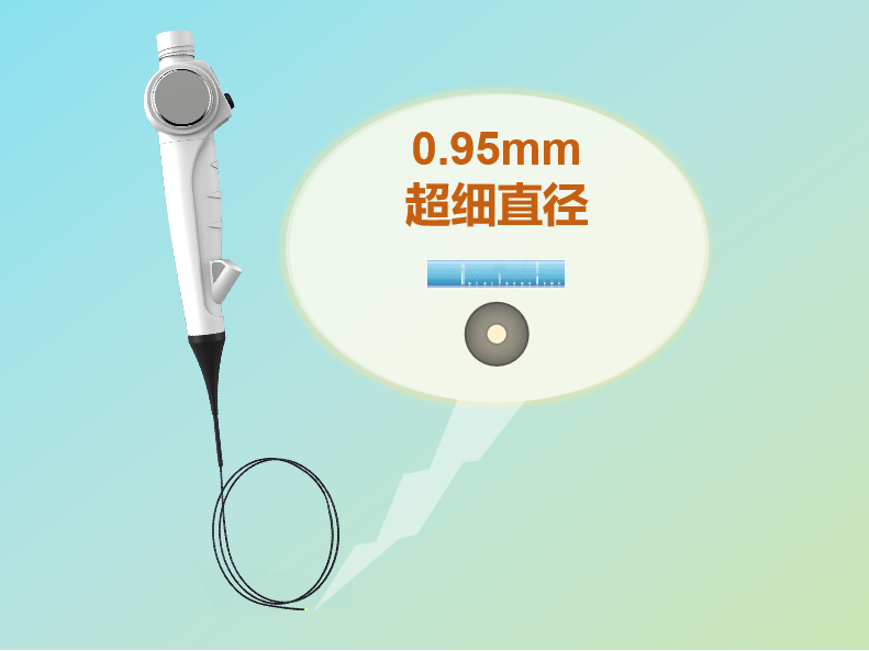 小鼠肠镜6.png 小鼠肠镜6.png