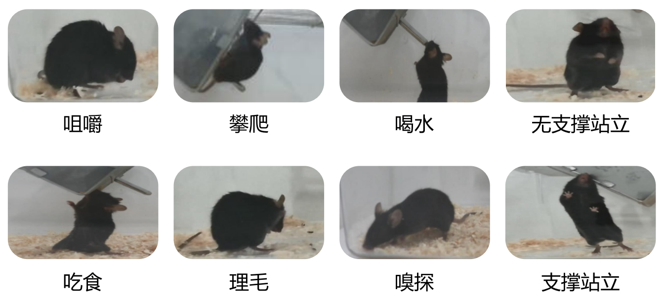 图片8.png