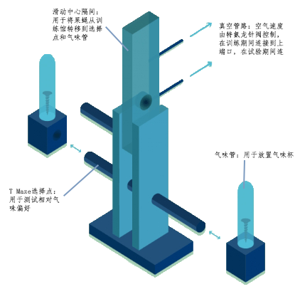 果蝇-操作性条件偏好装置.png
