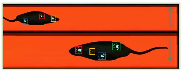 苏州拉夫海思科技有限公司.png