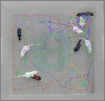 图片12.png 图片12.png