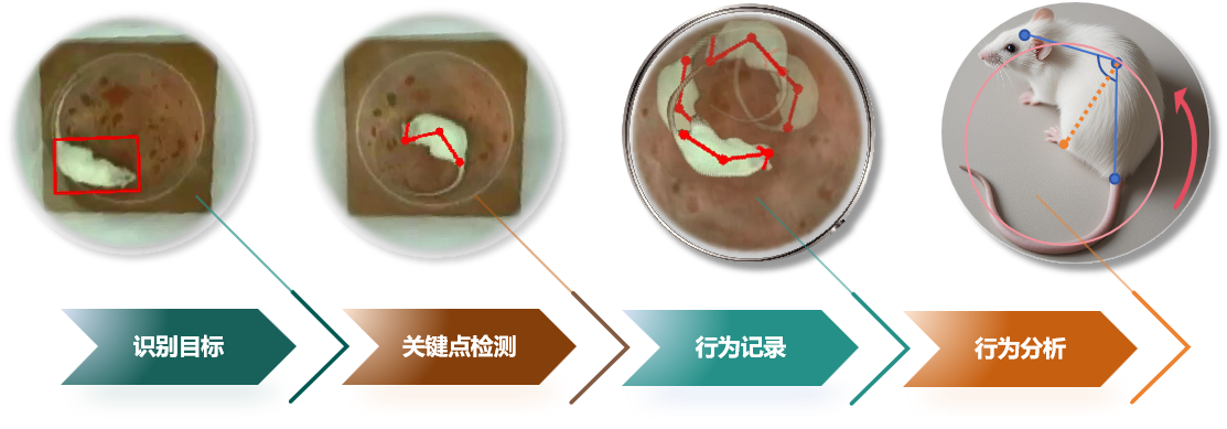 转圈行为检测流程.png