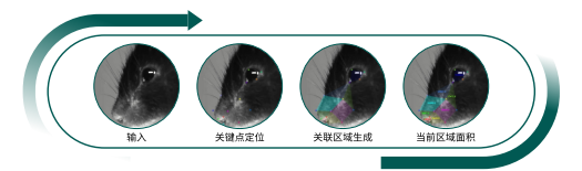 检测流程.png