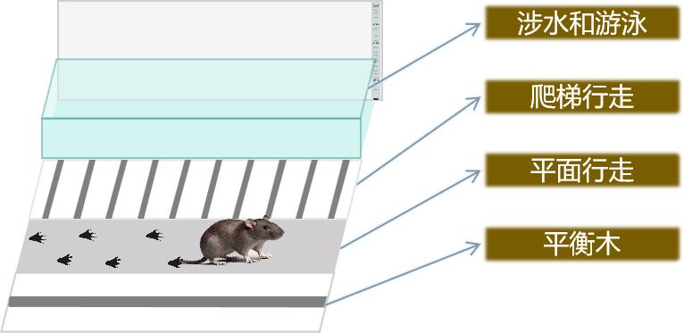 图片9.png 图片9.png
