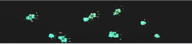 最大脚印图.png