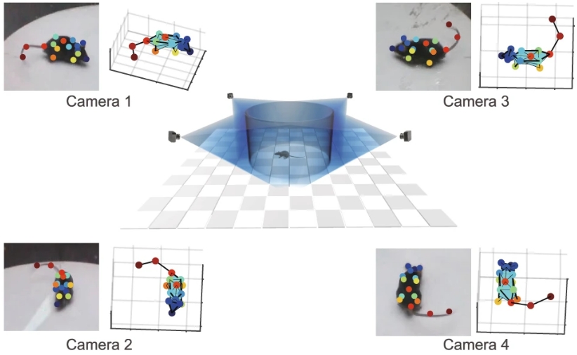 多视角相机观察