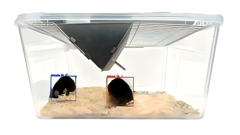 图片22.png 图片22.png