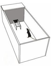 微信图片_2025-11-20_142516_881.png 微信图片_2025-11-20_142516_881.png