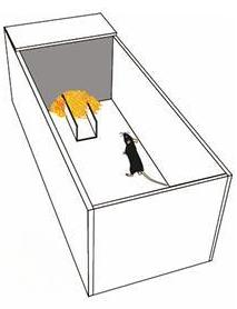 微信图片_2025-11-20_142522_360.png 微信图片_2025-11-20_142522_360.png