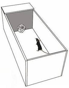 微信图片_2025-11-20_142528_673.png 微信图片_2025-11-20_142528_673.png