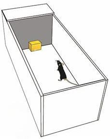 微信图片_2025-11-20_142533_296.png 微信图片_2025-11-20_142533_296.png