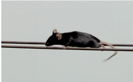 屏幕截图 2025-11-20 153843.png 屏幕截图 2025-11-20 153843.png