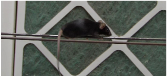 屏幕截图 2025-11-20 153932.png 屏幕截图 2025-11-20 153932.png