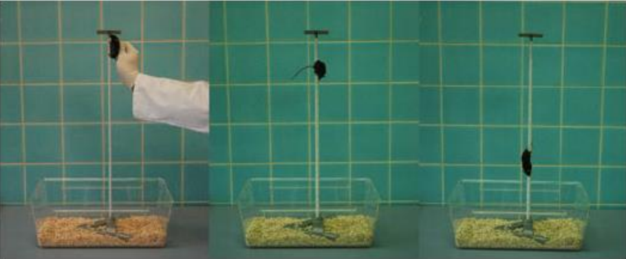 微信图片_2025-11-21_103322_333.png 微信图片_2025-11-21_103322_333.png