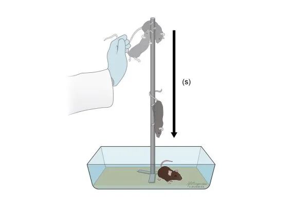 微信图片_2025-11-21_103717_381.jpg 微信图片_2025-11-21_103717_381.jpg