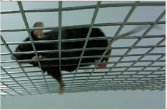 屏幕截图 2025-12-08 141024.png 屏幕截图 2025-12-08 141024.png